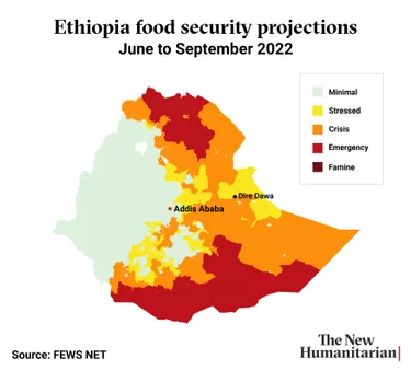 A Journey Through the Culinary Tapestry of Ethiopia: Exploring the Diverse Regional Cuisines